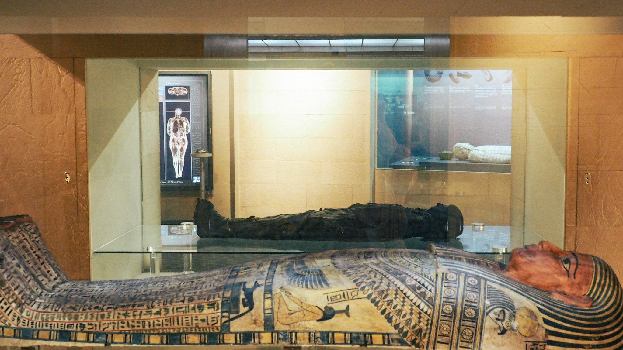 木乃伊在館內的「死後的世界」展區。(圖/翻攝自國立自然科學博物館臉書)