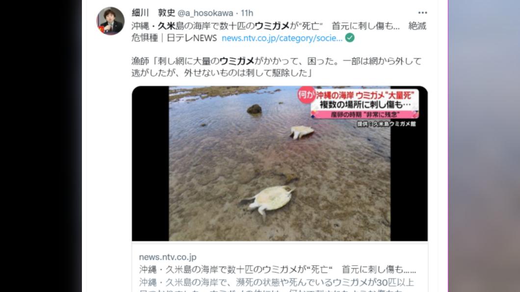 久米島海岸大批海龜死亡。(圖/翻攝自推特@a_hosokawa)