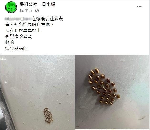 機車上出現神祕黃金蛋。（圖／翻攝自臉書爆廢公社）
