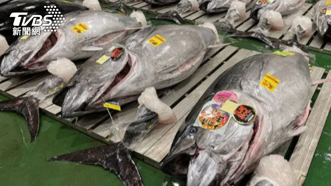 日本魚市場「中國產鮪魚冒充台灣產」 賣千噸遭官方糾正