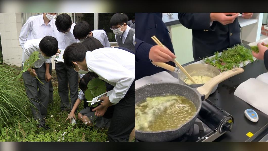 吃草正夯?日本高中成立「雜草研究社」 挑戰各種料理