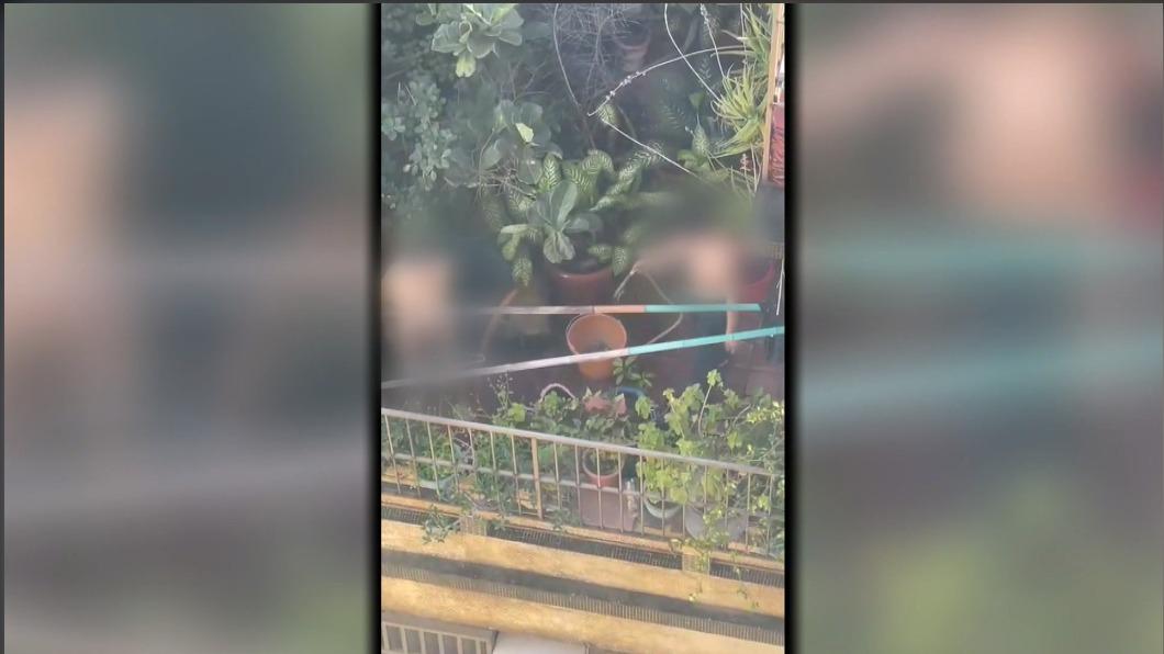 圖/畫面范先生提供