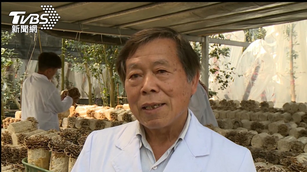 「牛樟芝之父」賴敏男。(圖/TVBS資料畫面)