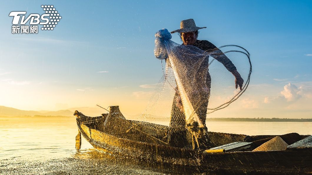大量海龜造成漁網破損等破壞,漁民苦不堪言。(示意圖/shutterstock達志影像)