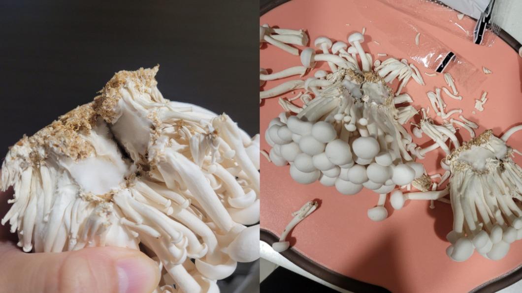 專家指出,疑似發霉的白毛狀物,其實是菌絲體,屬於正常現象且代表新鮮。(圖/翻攝自我愛全聯好物老實說臉書)