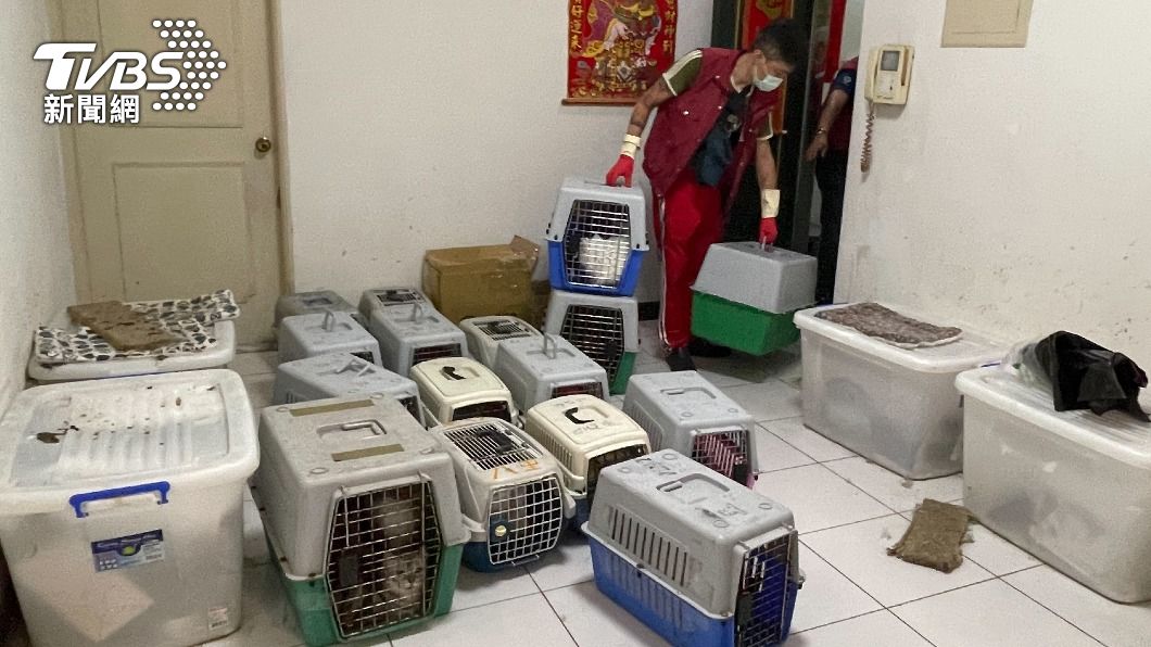 惡飼主公寓不當飼養34隻貓 動保處稽查「冰箱藏死屍」