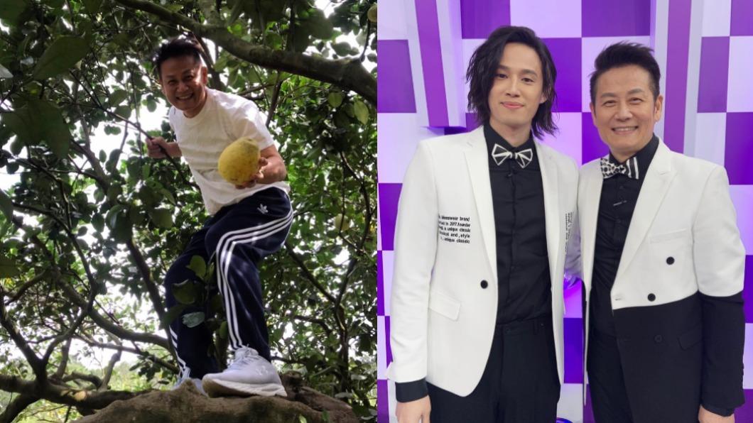 想修剪枝葉！徐乃麟爬樹「失足重摔」　兒還原驚險過程