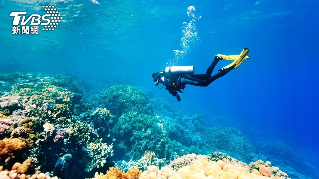 不少人熱愛潛水。(示意圖/shutterstock達志影像)