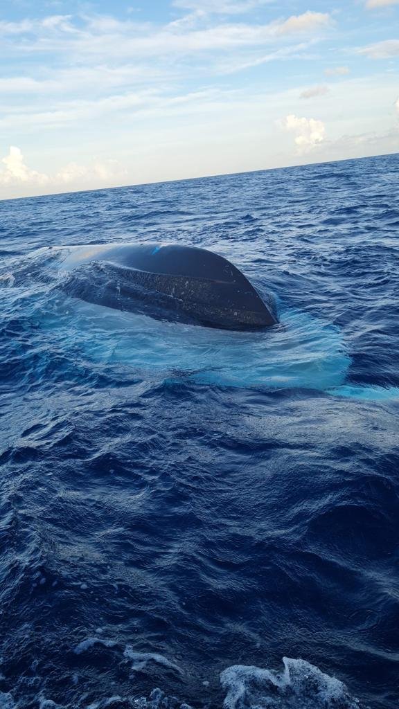 據悉載有60人的海地難民船被大浪打到翻覆。(圖/翻攝自Royal Bahamas Defence Force臉書)