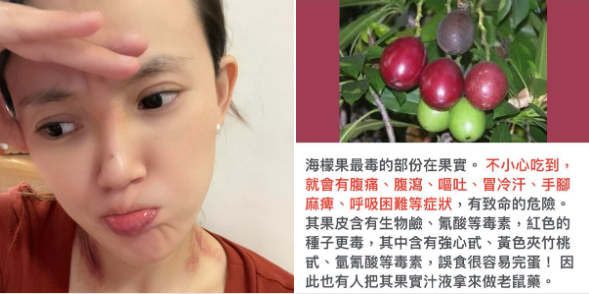 黃雨欣呼籲大家要小心有毒的海檬果。（ 圖／翻攝自黃雨欣臉書）