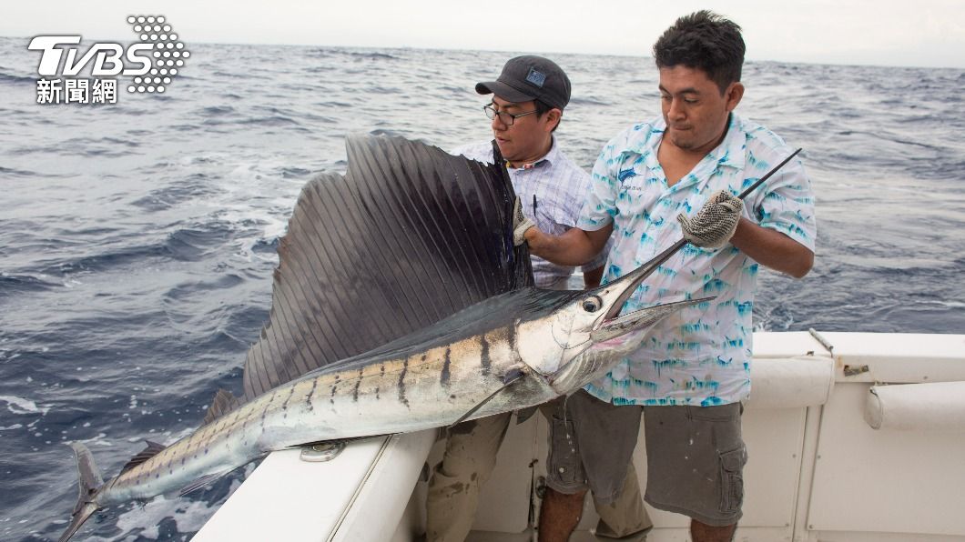 太衰!美佛州女子搭船海釣 旗魚突躍起刺傷大腿內側