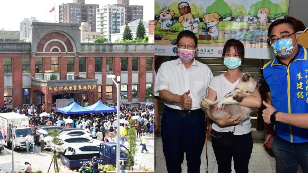 566人瘋搶！竹縣布偶貓認養人氣旺　楊文科：我很高興
