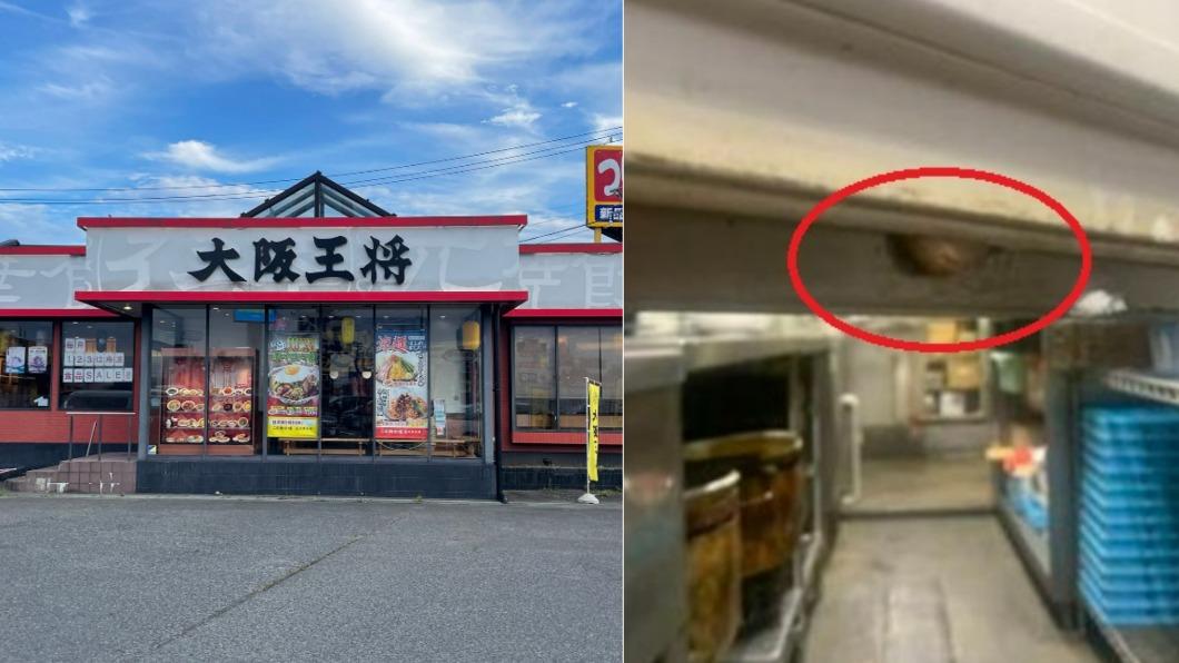廚房有蛞蝓!廚師摸貓不洗手 日本知名煎餃店爆食安危機