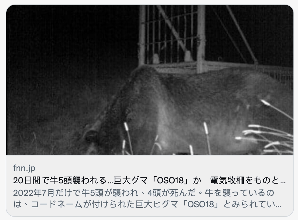 當地只拍到過唯一一張巨熊身影。(圖/翻攝自FNN推特)