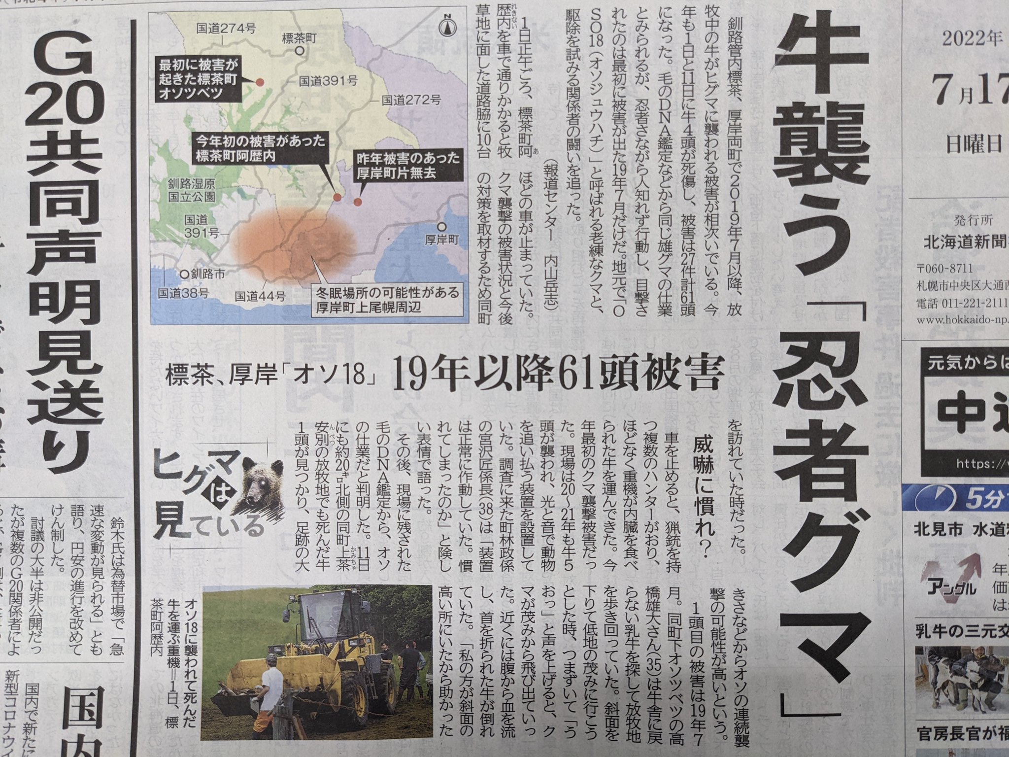 嗜血巨熊登上北海道報紙。(圖/翻攝自推特)