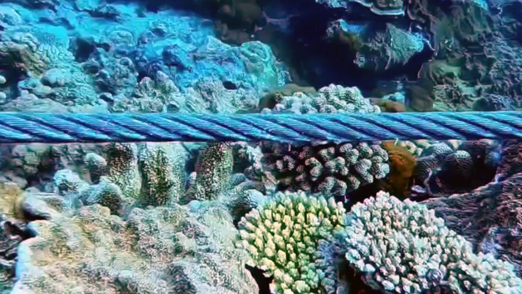 綠島石朗珊瑚礁遭破壞 潛水教練痛心:如生物屠宰場