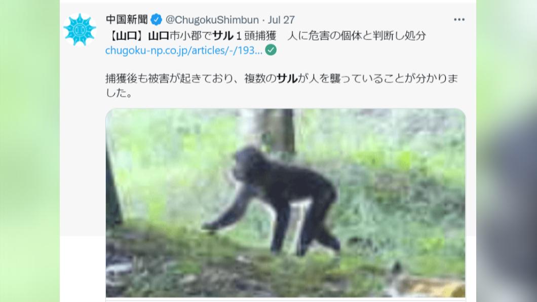 疑似遭到捕捉的猴子。(圖/翻攝自中國新聞推特)