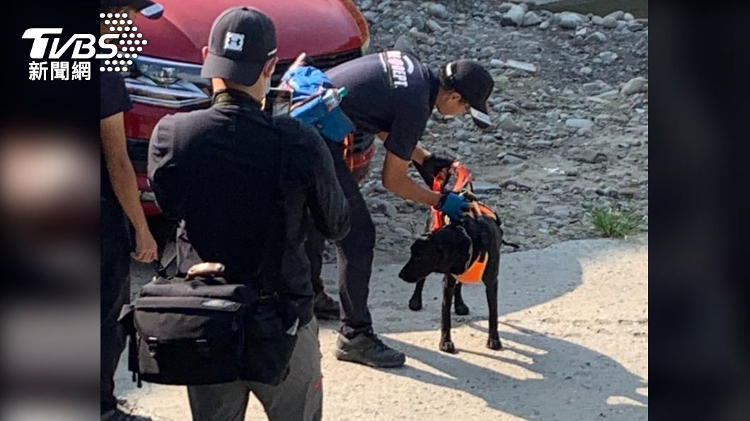 出動警犬協尋。（圖／TVBS）