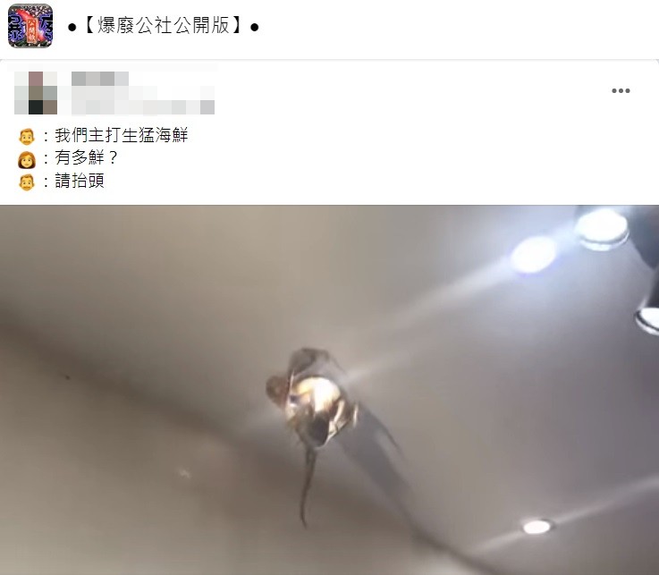不少網友看到後驚嚇直呼以為是異形。(圖/翻攝自爆廢公社公開版)