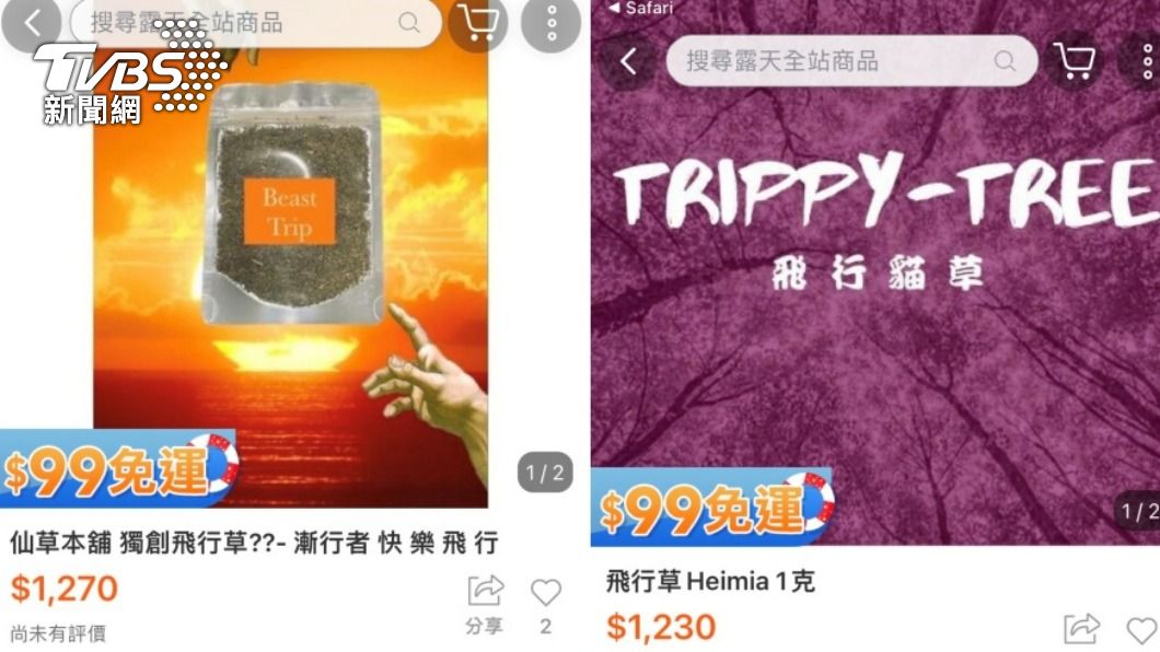 李姓女子透過網購平台販賣3級毒品「墨西哥鼠尾草」。（圖／TVBS）