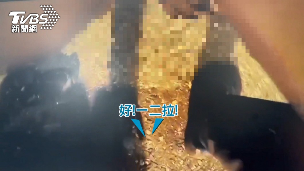 圖／TVBS