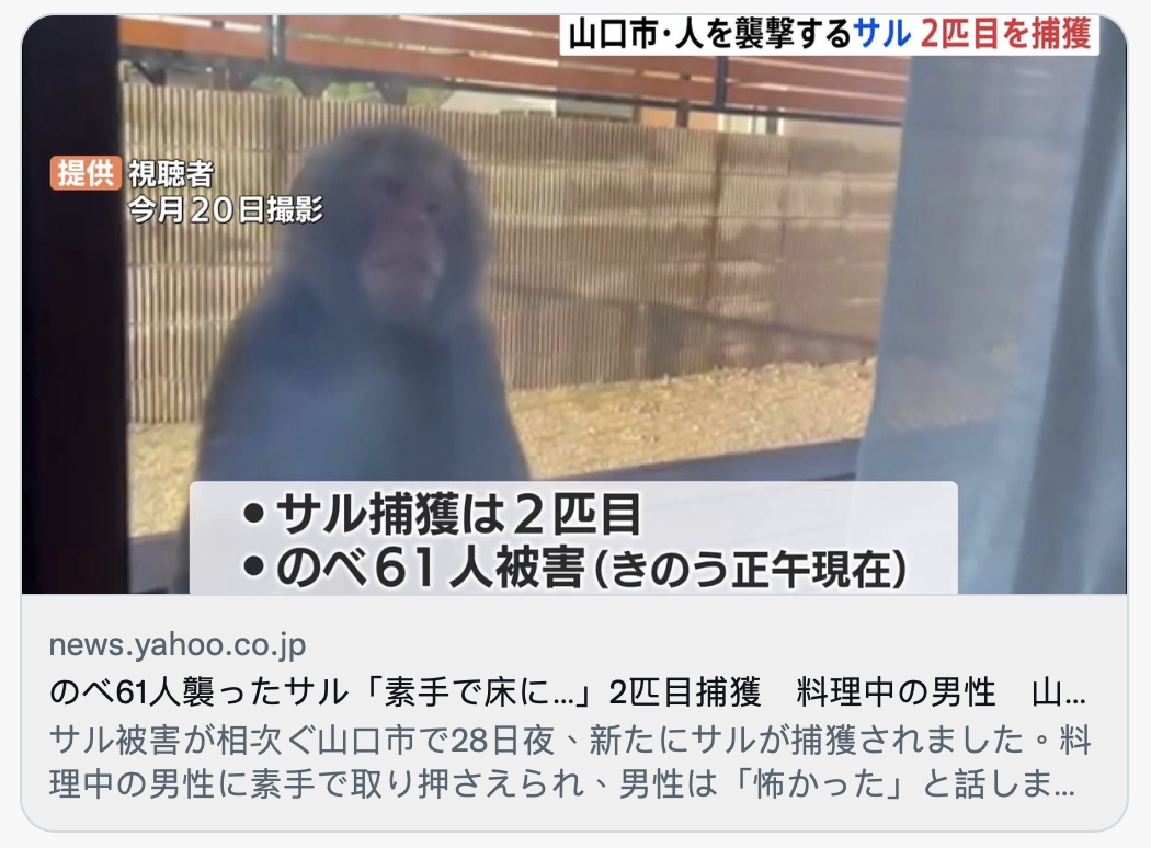 潑猴從窗戶窺視屋內。(圖/翻攝自Yahoo推特)