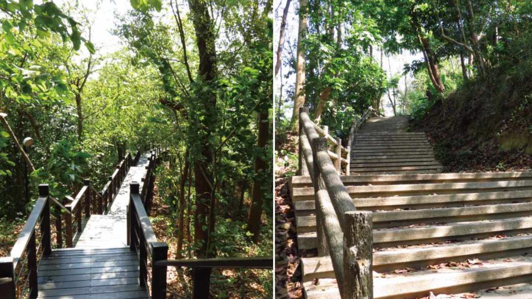 走走虎形山步道,在天然的避暑勝地做森林浴,還能大口吸收芬多精。(圖/翻攝自《神住宿》)