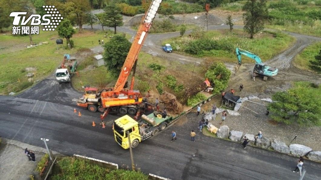 26公噸百年茄苳樹遭盜伐 保七警救回植栽殯葬園區