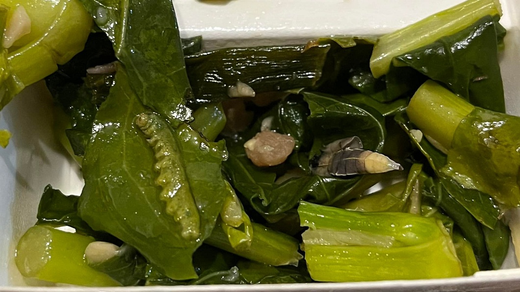 幼蟲到蛹都有!點炒青菜上來「生態箱」 老闆娘拗:是薑絲