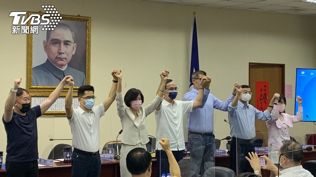 國民黨徵召王育敏出戰嘉義縣長。(圖/TVBS)