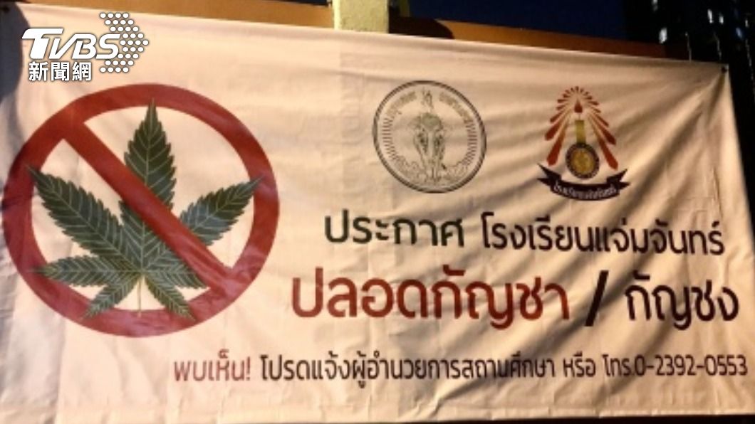 泰國大麻合法化缺法令配套　狀況混亂醫界憂心