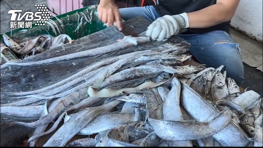 中國大陸突宣布禁止我國輸入白帶魚。(圖/TVBS)