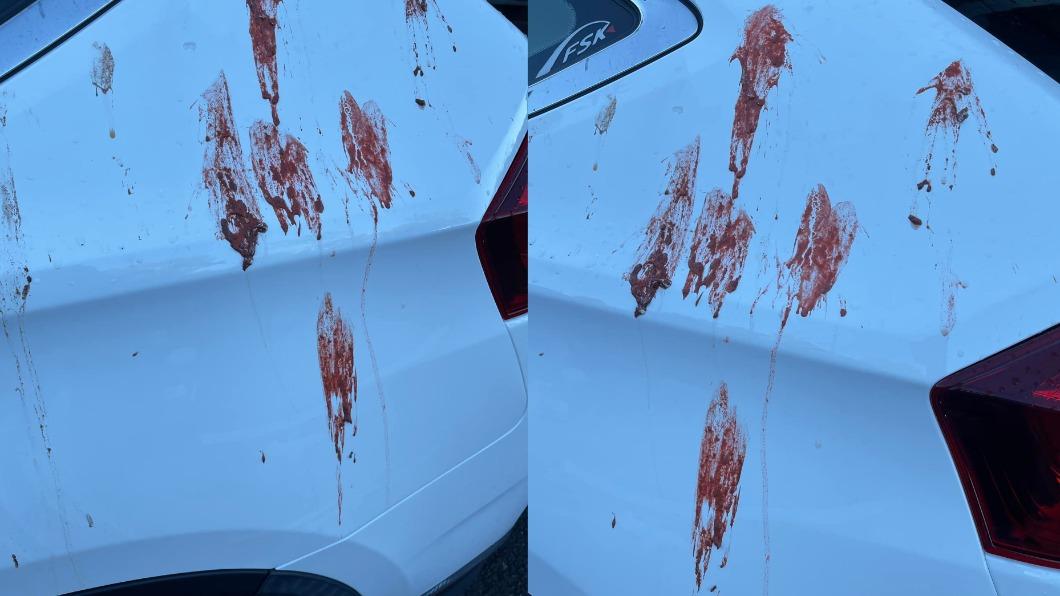 愛車被染紅慘變命案現場！苦主揪出兇手笑翻：痔瘡破了？