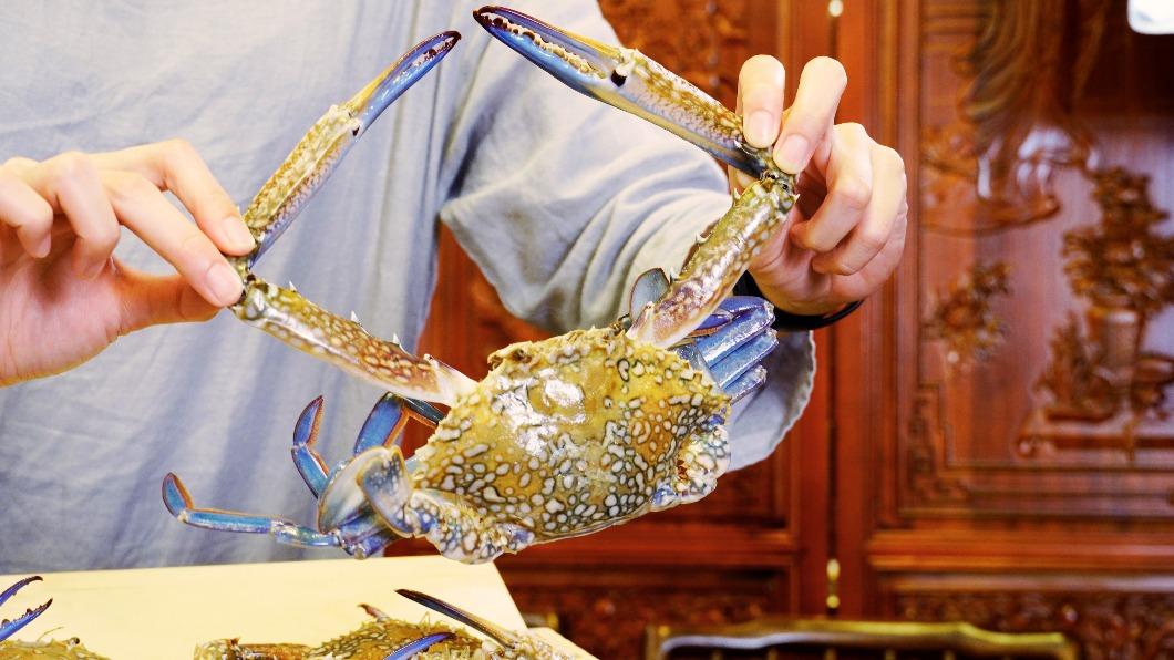 身分證「5、2、8」享佐渡花蟹吃到飽。(圖/馬辣集團提供)