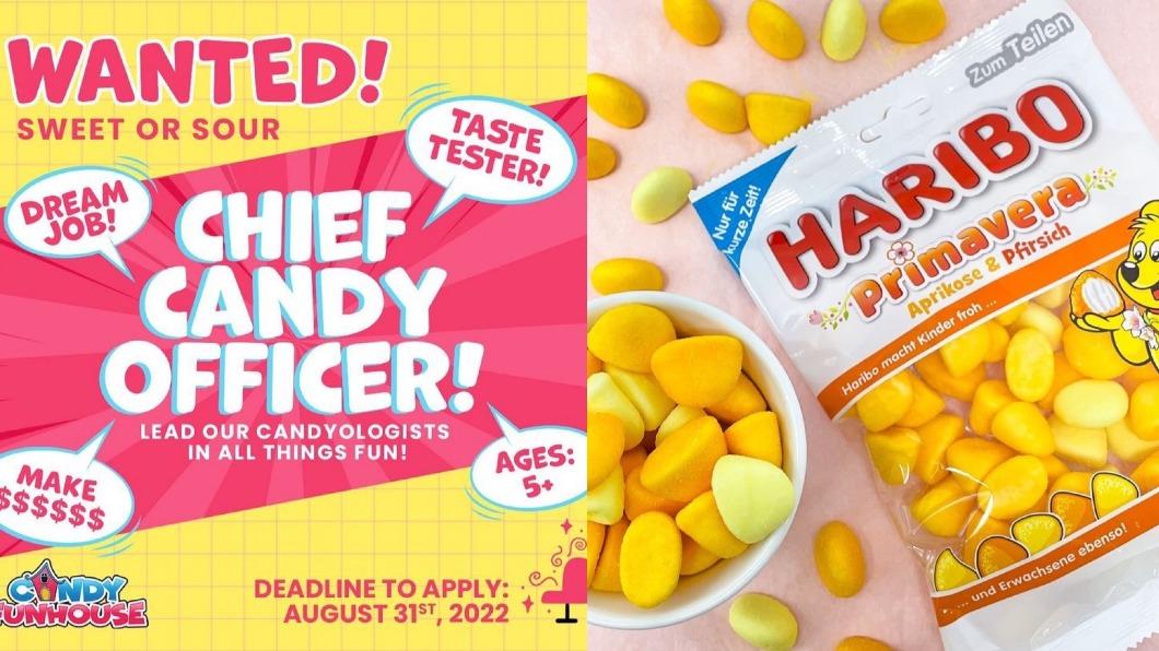 糖果長工作內容只需負責試吃糖果。(圖/翻攝自IG@candyfunhouse)
