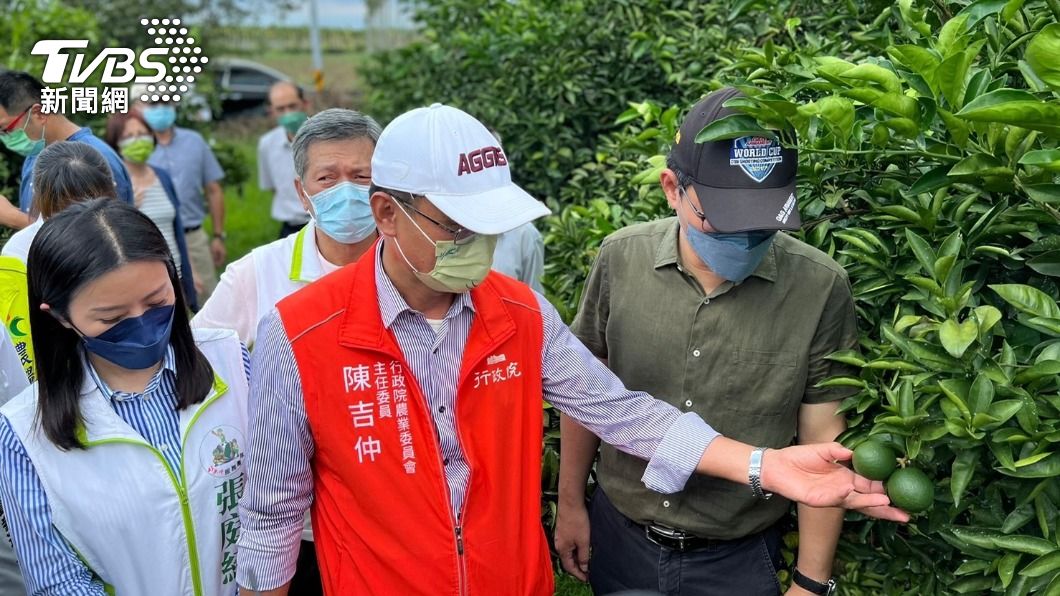 農民十分憂心產品不能外銷。(圖/TVBS)