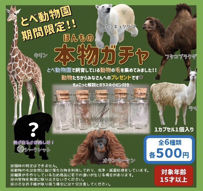 動物園有宣傳扭蛋的文宣,以及商品的樣貌。(圖/翻攝自推特)