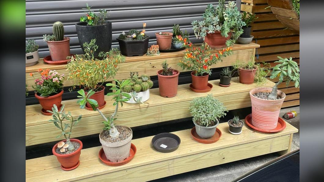 媽媽種植的花盆,慘遭小偷竊走。(圖/翻攝自楊繡惠臉書)