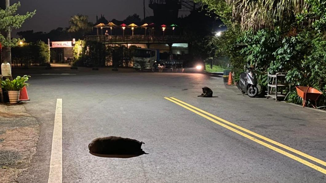 半夜大馬路上驚見「巨大天坑」 路人近看笑:會呼吸的洞