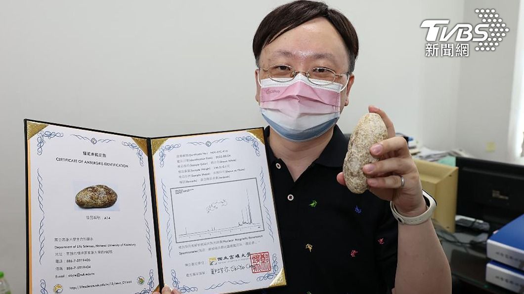 超幸運！父子淨灘拾獲龍涎香　專家鑑定「上等真品」