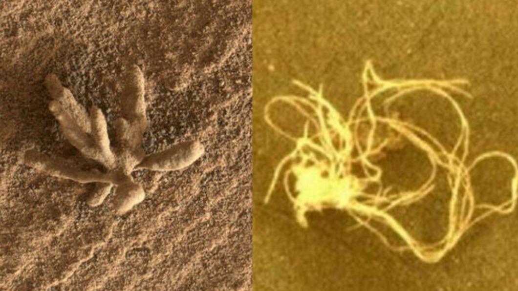 火星過去曾發現奇特岩石狀物質、類義大利麵條狀物。(圖/翻攝自推特)