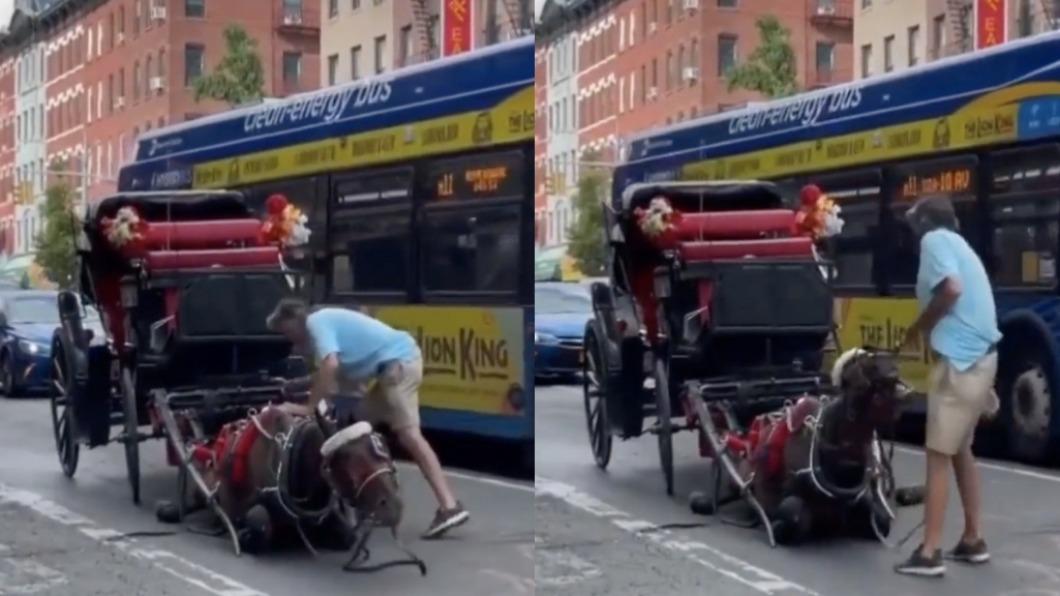 紐約觀光馬車悲歌！馬兒疑中暑癱軟　馬伕鞭打涉虐挨批