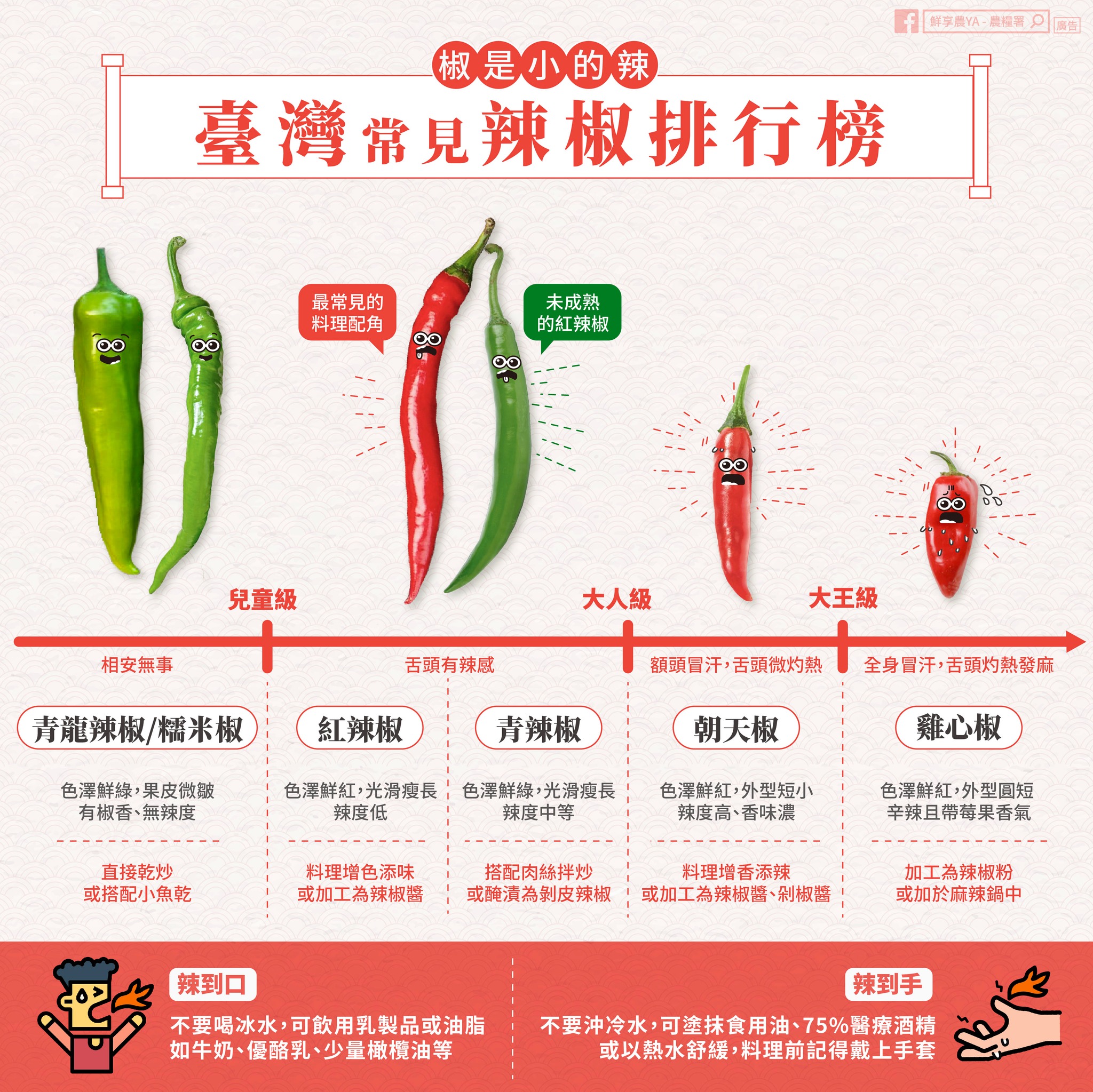 「辣椒辣度排行榜」圖表。(圖/翻攝自農糧署臉書)