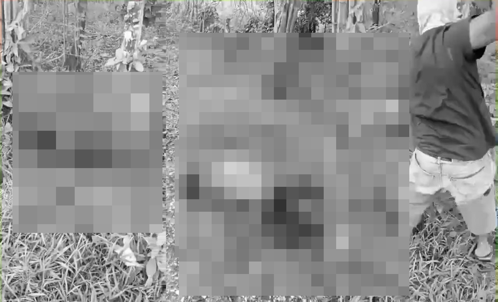 疑似台灣人在柬埔寨被虐殺影片遭網友瘋傳。（圖／翻攝「MyGoPen麥擱騙」）