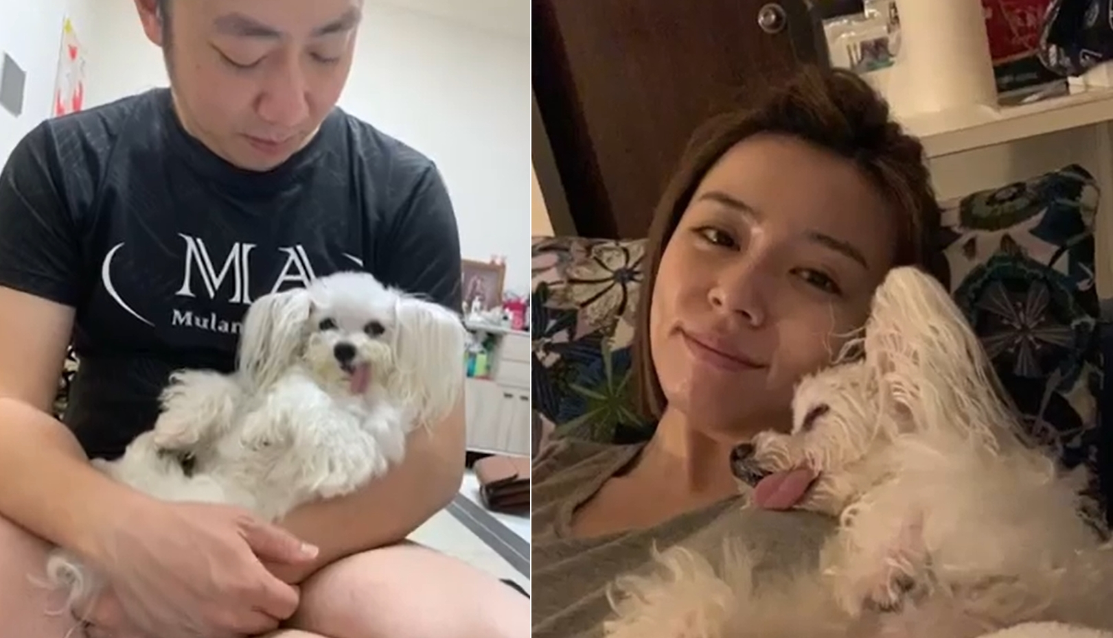 艾成、王瞳相當有愛心,領養受虐聾犬哈嚕。(圖/翻攝自臉書艾成)