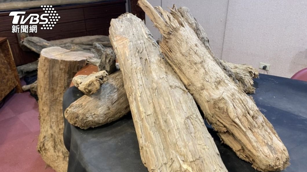國有林外撿漂流木免擔心觸法 林務局鬆綁法規