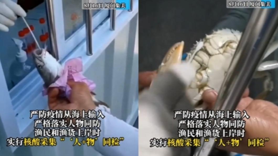 廈門疫情怕爆!魚蝦蟹也得驗核酸 張嘴被捅陸網全驚呆