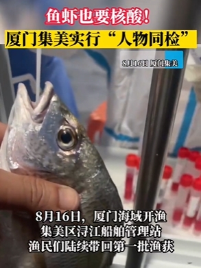 廈門魚獲上岸後也得被捅。(圖/翻攝自微博)