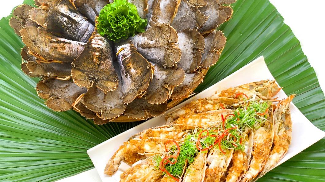 吃1隻就回本!青青港點+299享「蟬龍蝦」吃到飽