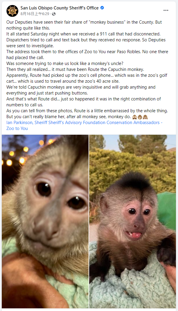 警方完成偵辦,稱捲尾猴是在有樣學樣打電話。(圖/翻攝自San Luis Obispo County Sheriff's Office臉書)